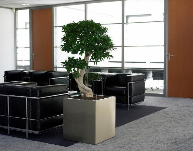 Small-Zen-office-with-gray-carpet-black-leather-furniture-and-Bonsai-tree