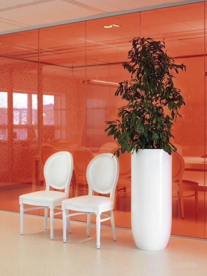 Indoor Plant Hire