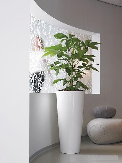 Indoor Plant Hire Melbourne