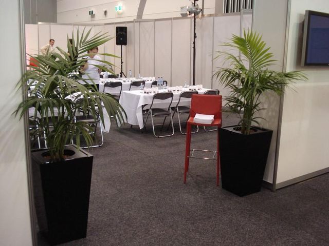 Indoor Plants for Events in Melbourne