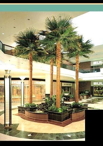 Indoor Plant Hire