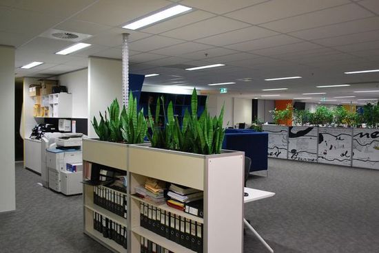 Corporate_Plant.JPG