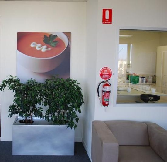 Indoor-Plant-Hire-C1.jpg