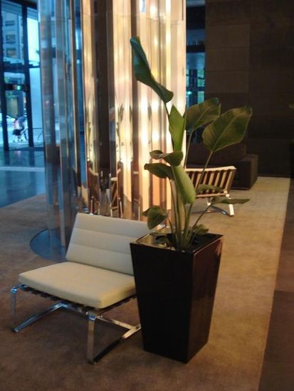 Indoor-Plant-Hire-C6.JPG