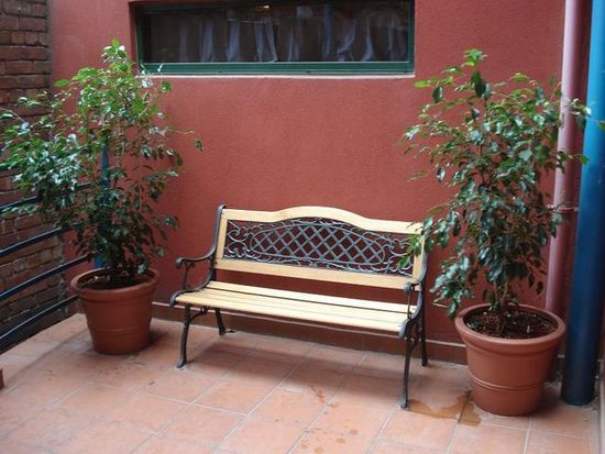Indoor-Plants-ab3.JPG