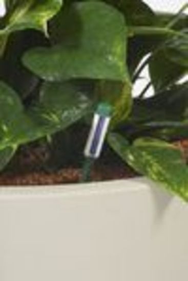 Indoor-plant-hire-3.jpg