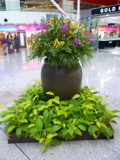 Indoor_Plant_Mainten1.jpg