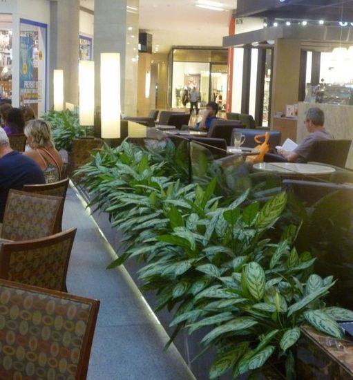 Office_Plant_Hire9.jpg