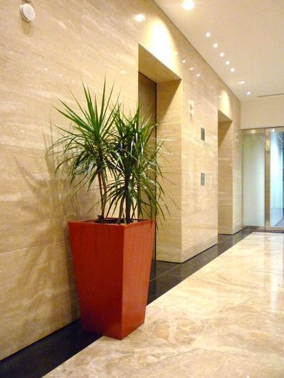 Office_Plant_Hire_69.JPG